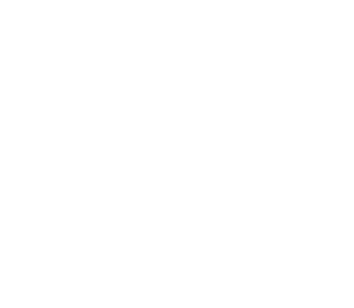section-divider-1